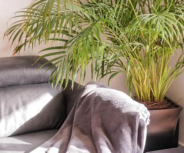 Lejlighed Wohnen Im Zentrum Lindlar